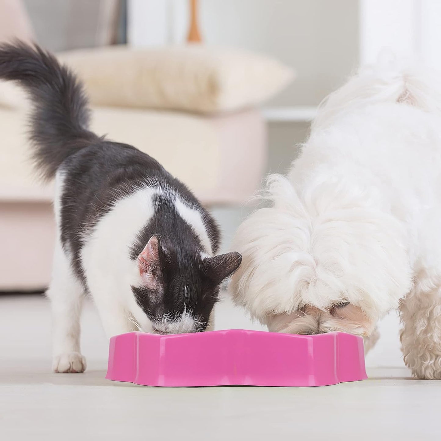 Slow Feeding Bowl, Polypropylene Dog Bowl, 600 Ml, for Medium Small Breed & Puppies, Promotes Healthy Eating
