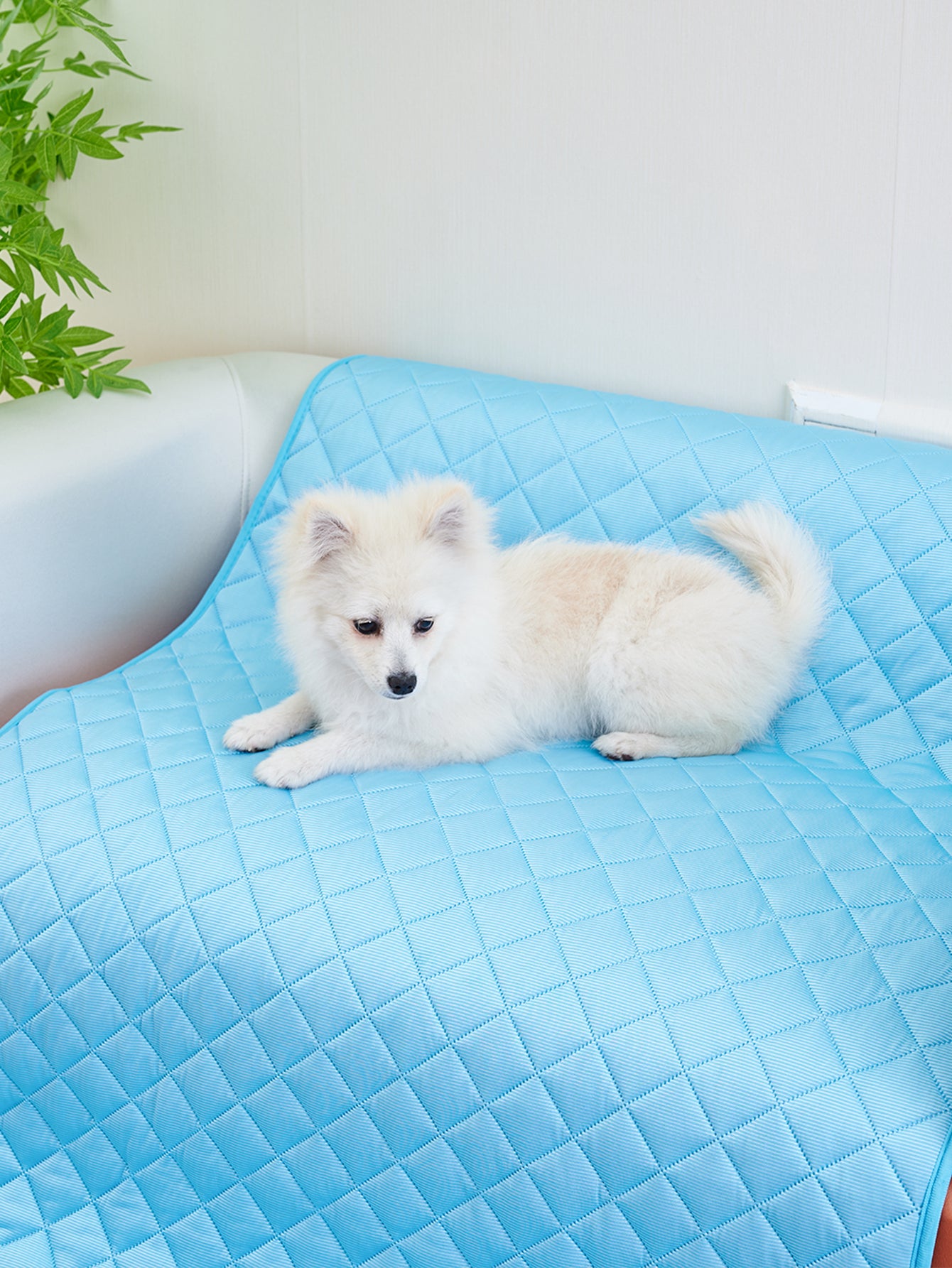 Dog Pillow Pet Summer Cooling Mat and Sleeping Pad Waterproof Pet Cooling Mat for Cat Dog Keep Cooling Supplies Self Cooling Mat