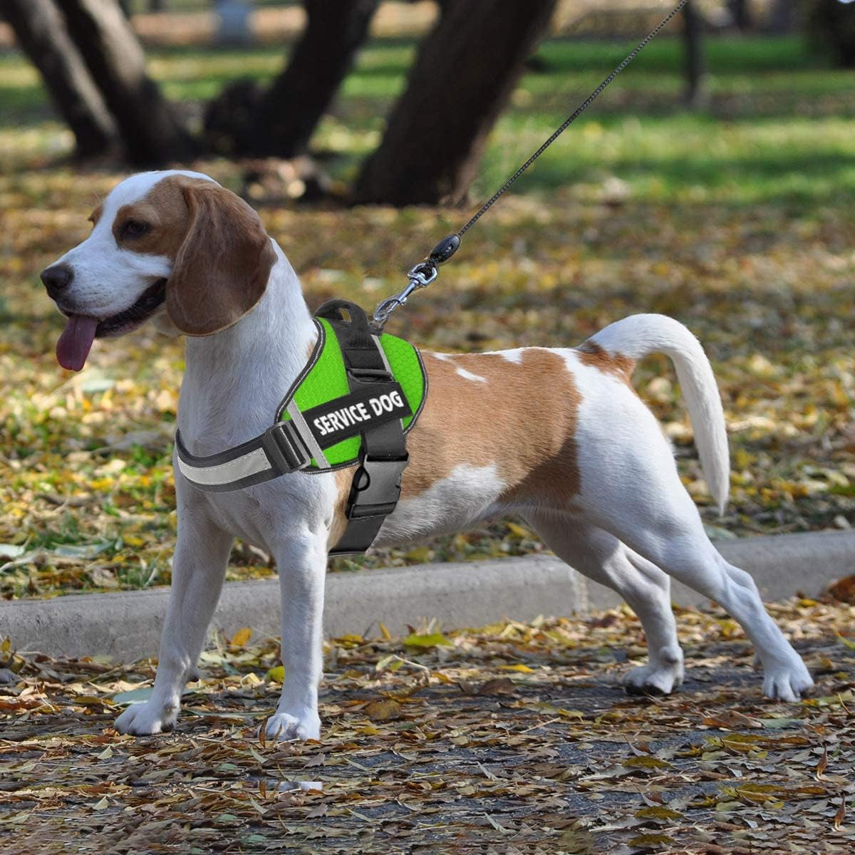 Dog Harness,No-Pull Service Dog Harness with Handle Adjustable Outdoor Pet Dog Vest 3M Reflective Nylon Material Vest for Breeds,Easy Control for Small Medium Large Dogs