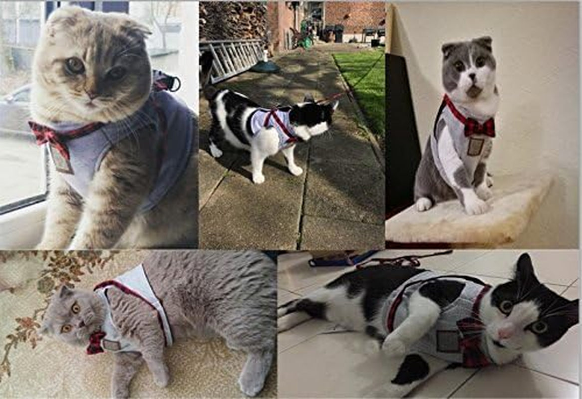 Cat Harness and Leash Set, Leash Adjustable Comfortable Soft Harness Jacket Vest, for Cats Puppy Safety Walk/Run(S, Gray)