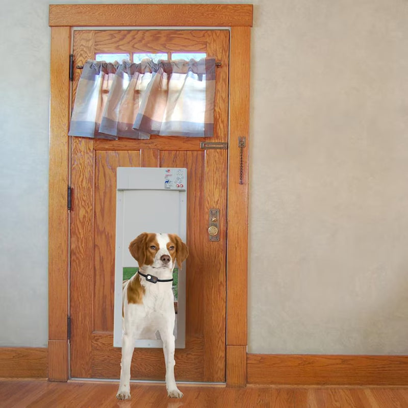 Plastic Pet Door Access Key