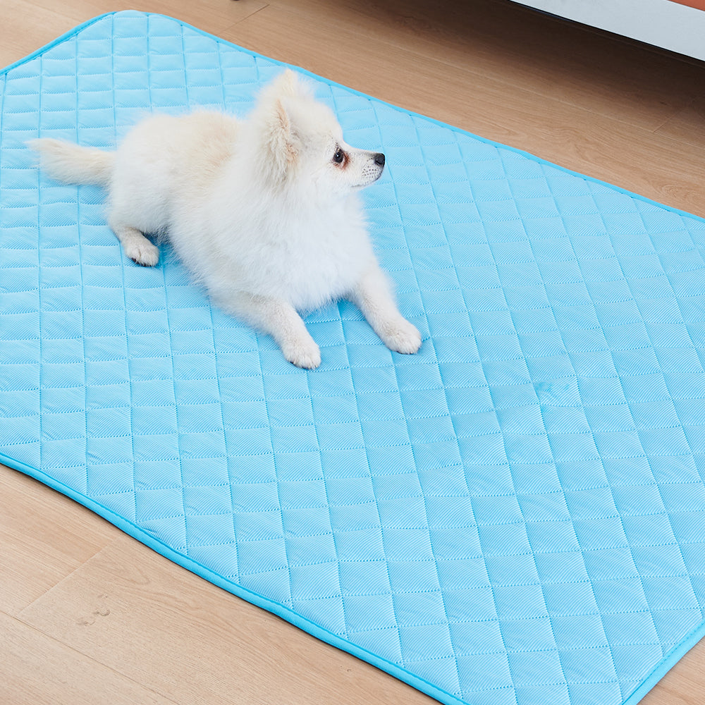 Dog Pillow Pet Summer Cooling Mat and Sleeping Pad Waterproof Pet Cooling Mat for Cat Dog Keep Cooling Supplies Self Cooling Mat