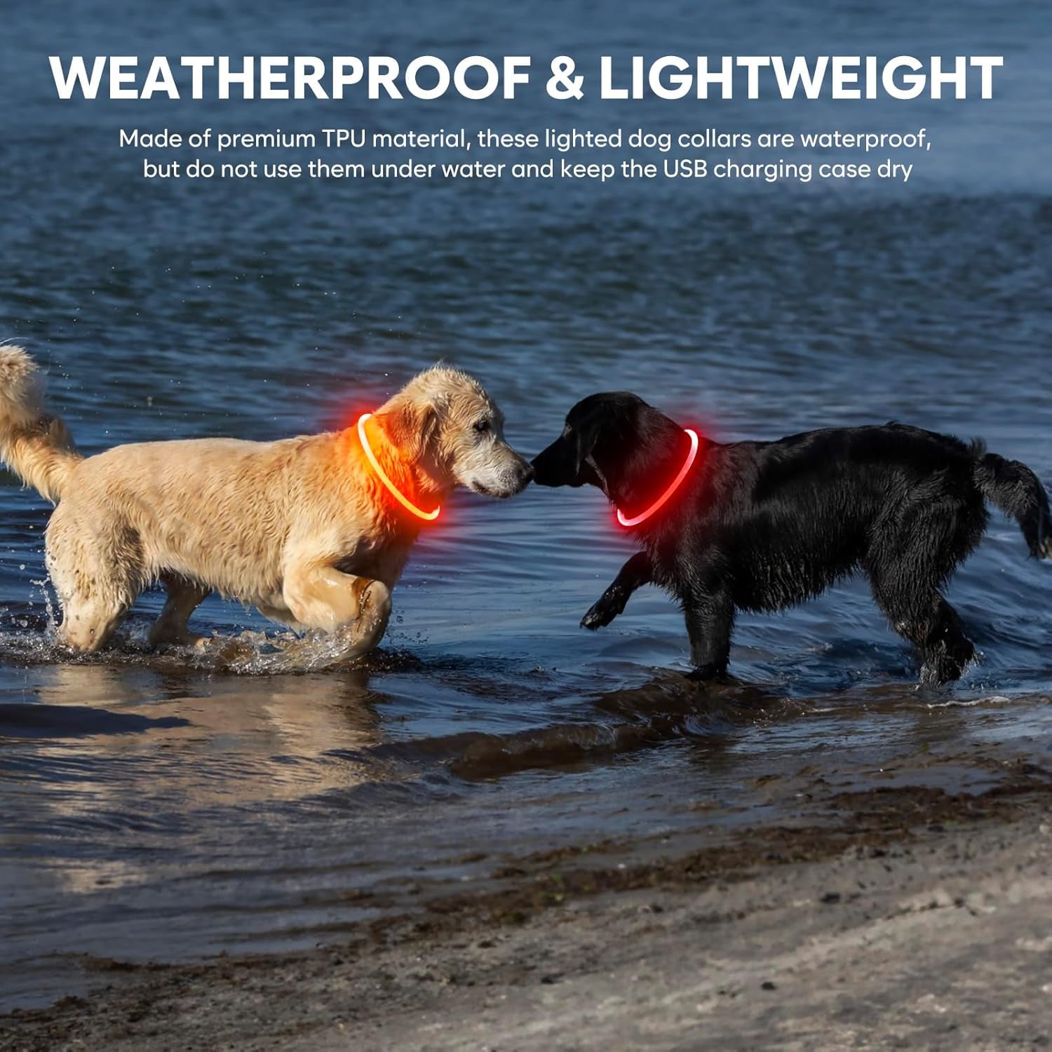 Led Dog Collar - Waterproof Lighted Doggie Collars for Night Rechargeable, High Visibility TPU Cuttable Lighted Pet Collar (Red)