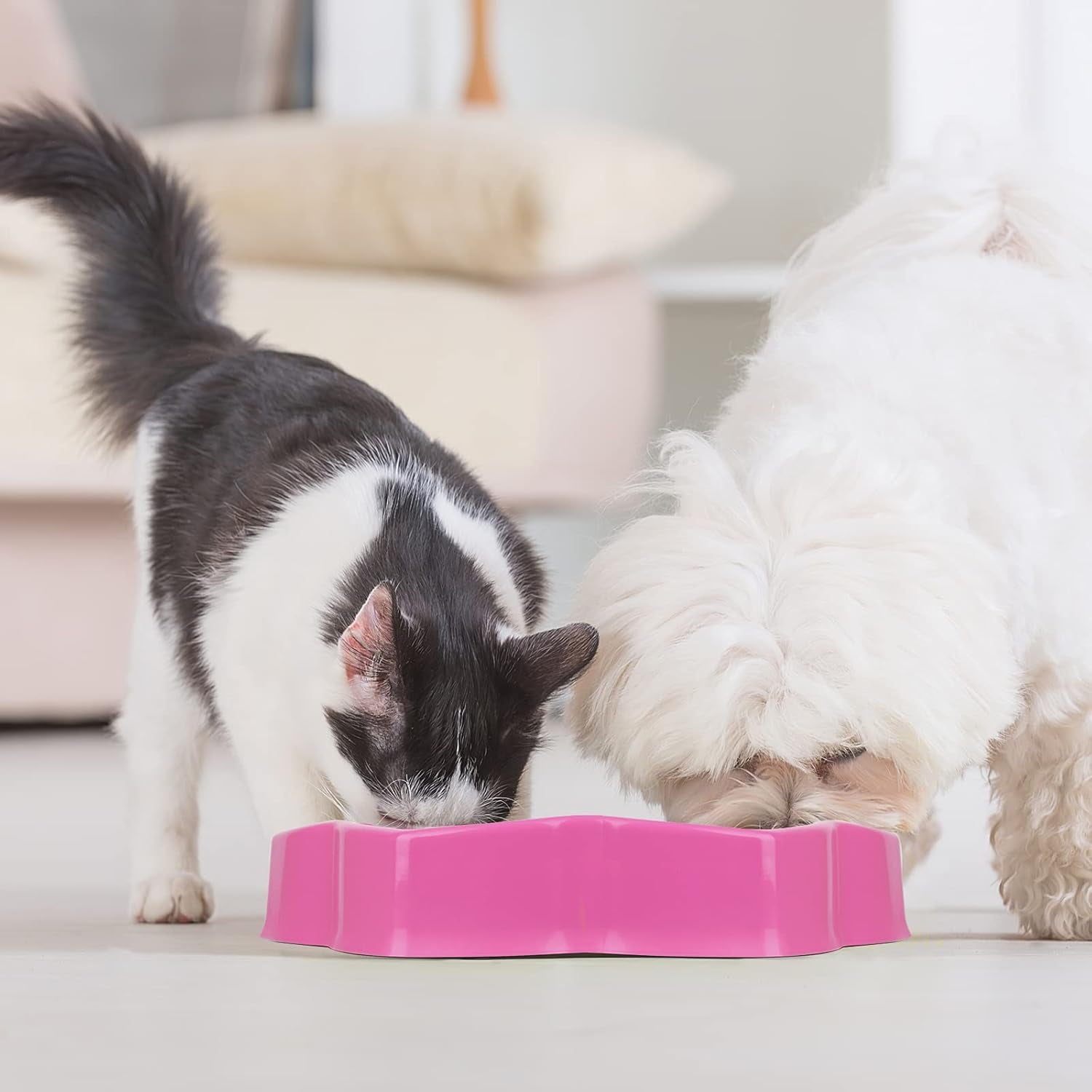 Slow Feeding Bowl, Polypropylene Dog Bowl, 600 Ml, for Medium Small Breed & Puppies, Promotes Healthy Eating