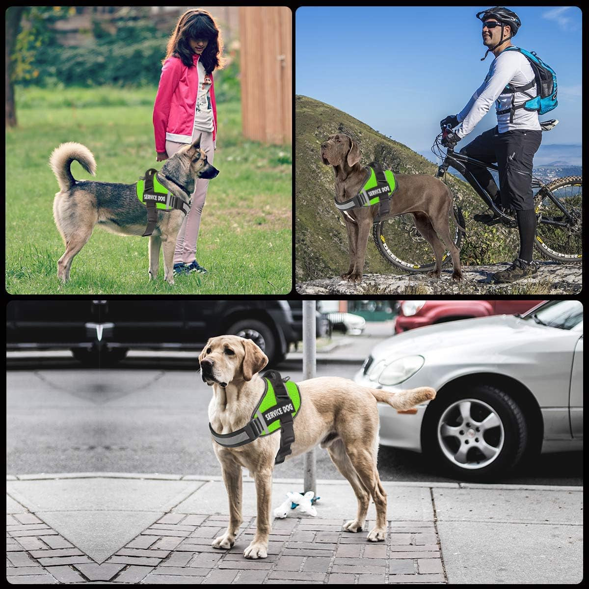 Dog Harness,No-Pull Service Dog Harness with Handle Adjustable Outdoor Pet Dog Vest 3M Reflective Nylon Material Vest for Breeds,Easy Control for Small Medium Large Dogs